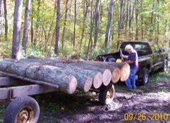 logging